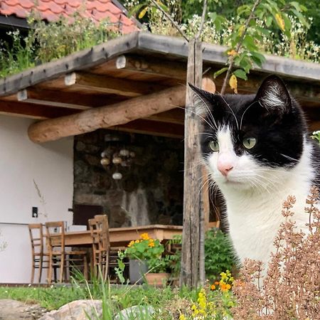 Ferienhaus Krieben Tresdorf Εξωτερικό φωτογραφία