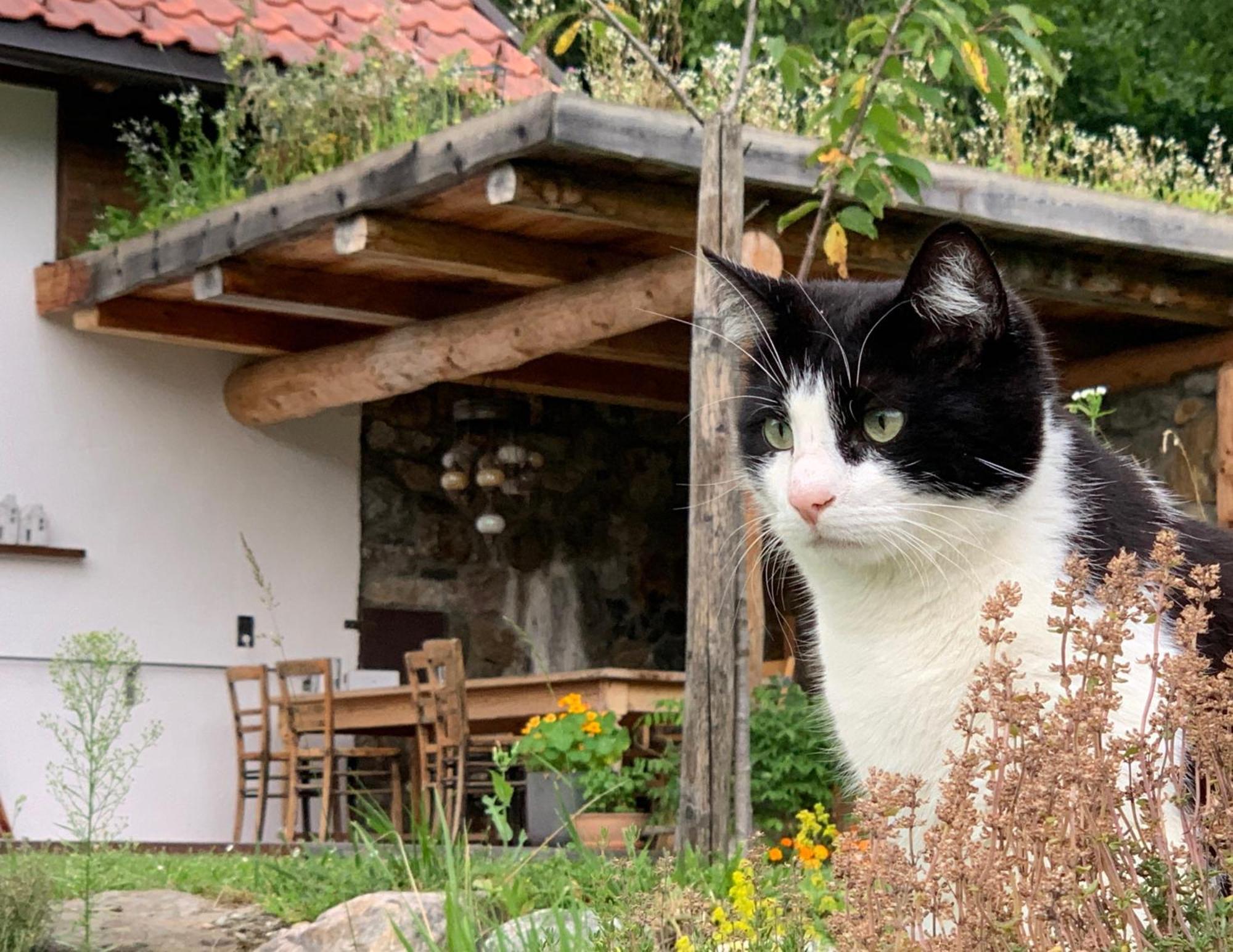 Ferienhaus Krieben Tresdorf Εξωτερικό φωτογραφία